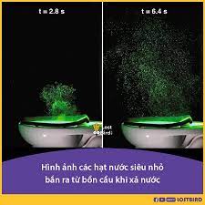 DỊCH VỤ MÔI TRƯỜNG HM SÀI GÒN